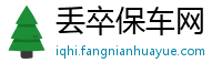 丢卒保车网